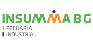 Insumma
